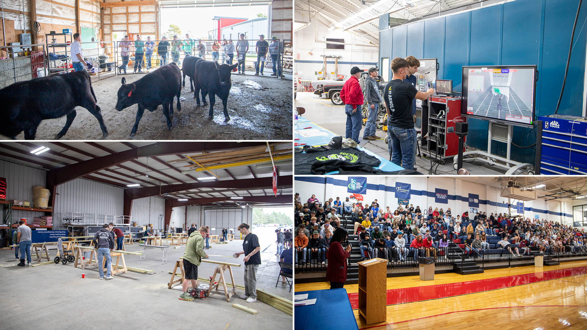 Collage of student photos including student with cows, meeting in the gym, building things, and working on automotive tech computer simulators