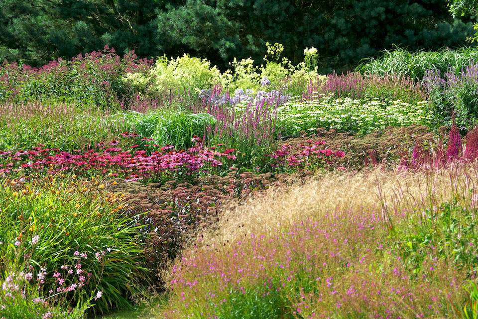 Sample photo of a variety of plants and flowers that could be added to campus