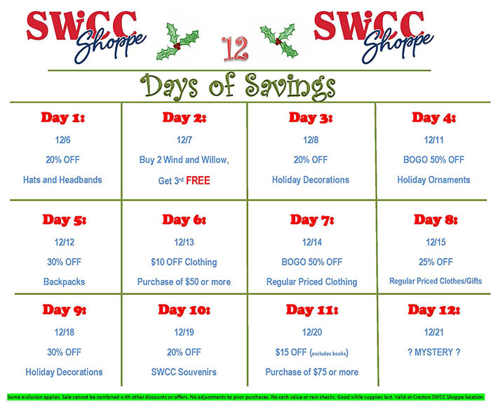 12 Days of Savings Flyer