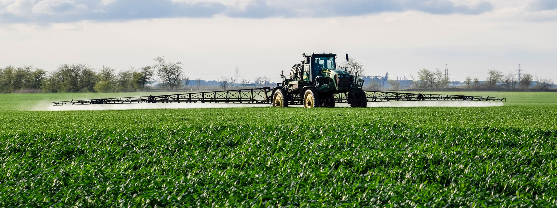 Tractor in field spraying crops