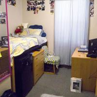 basic room setup with a lofted bed, dresser, and desk.